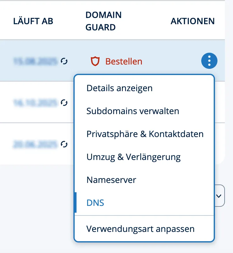 IONOS_DNS.jpg