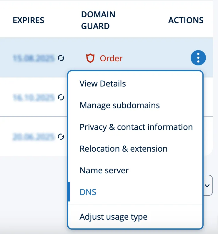 IONOS_DNS-en.png