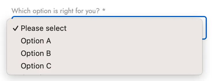 new-product_custom-fields_dropdown-list.png